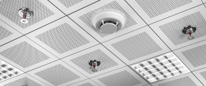 Ceiling with several fire sprinklers and a fire alarm